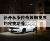 新开私服传奇长期发展的宠物培养