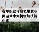 在单职业传奇私服发布网游戏中如何增加技能伤害