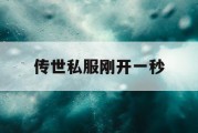 传世私服刚开一秒