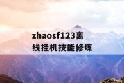 zhaosf123离线挂机技能修炼