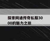探索网通传奇私服3000的魅力之旅