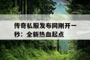 传奇私服发布网刚开一秒：全新热血起点