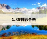 1.85刺影合击