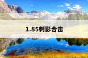 1.85刺影合击