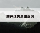 新开迷失单职业网