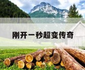 刚开一秒超变传奇