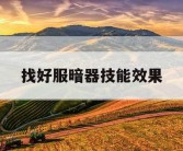找好服暗器技能效果