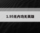 1.95无内功无英雄