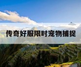 传奇好服限时宠物捕捉