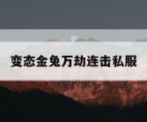 变态金兔万劫连击私服