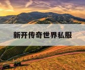 新开传奇世界私服