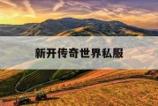 新开传奇世界私服