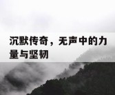 沉默传奇，无声中的力量与坚韧