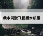 我本沉默飞扬版本私服