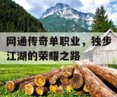 网通传奇单职业，独步江湖的荣耀之路
