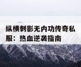 纵横刺影无内功传奇私服：热血逆袭指南
