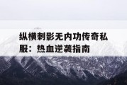 纵横刺影无内功传奇私服：热血逆袭指南
