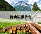 解读沉默传奇