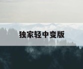 独家轻中变版