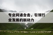 专业网通合击，引领行业发展的新动力