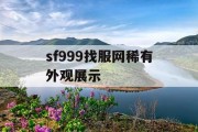 sf999找服网稀有外观展示
