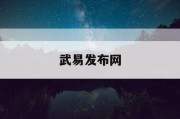 武易发布网