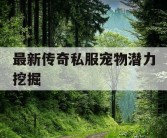 最新传奇私服宠物潜力挖掘