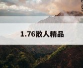1.76散人精品