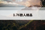 1.76散人精品
