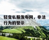 轻变私服发布网，非法行为的警示