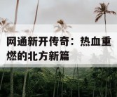 网通新开传奇：热血重燃的北方新篇