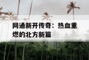 网通新开传奇：热血重燃的北方新篇