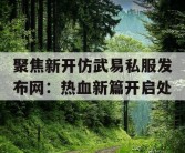 聚焦新开仿武易私服发布网：热血新篇开启处