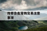 传奇合击宠物交易注意事项