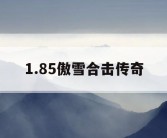 1.85傲雪合击传奇
