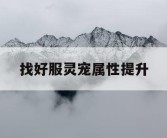 找好服灵宠属性提升