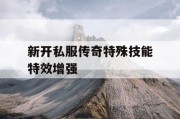 新开私服传奇特殊技能特效增强