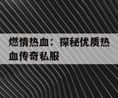燃情热血：探秘优质热血传奇私服