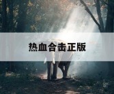 热血合击正版