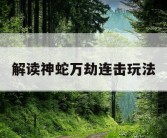 解读神蛇万劫连击玩法