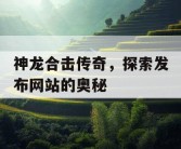 神龙合击传奇，探索发布网站的奥秘