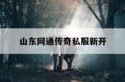 山东网通传奇私服新开
