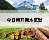 今日新开我本沉默