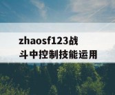 zhaosf123战斗中控制技能运用