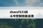 zhaosf123战斗中控制技能运用