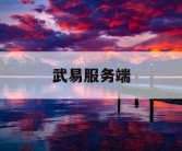 武易服务端