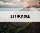 185神龙版本
