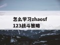 怎么学习zhaosf123战斗策略