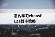 怎么学习zhaosf123战斗策略