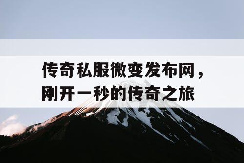 传奇私服微变发布网，刚开一秒的传奇之旅